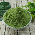 100% Pure Dried Spinach Vegetable Powder China